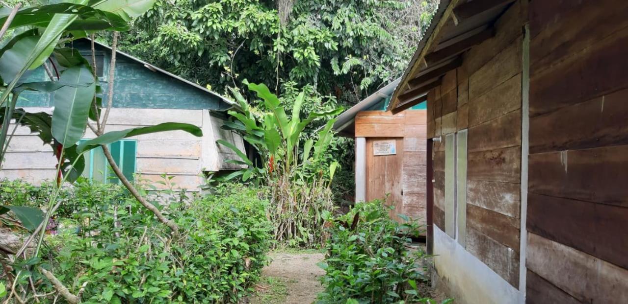 Centro Ecoturistico Ya'Ajche Hotel Lacanjá Exterior foto