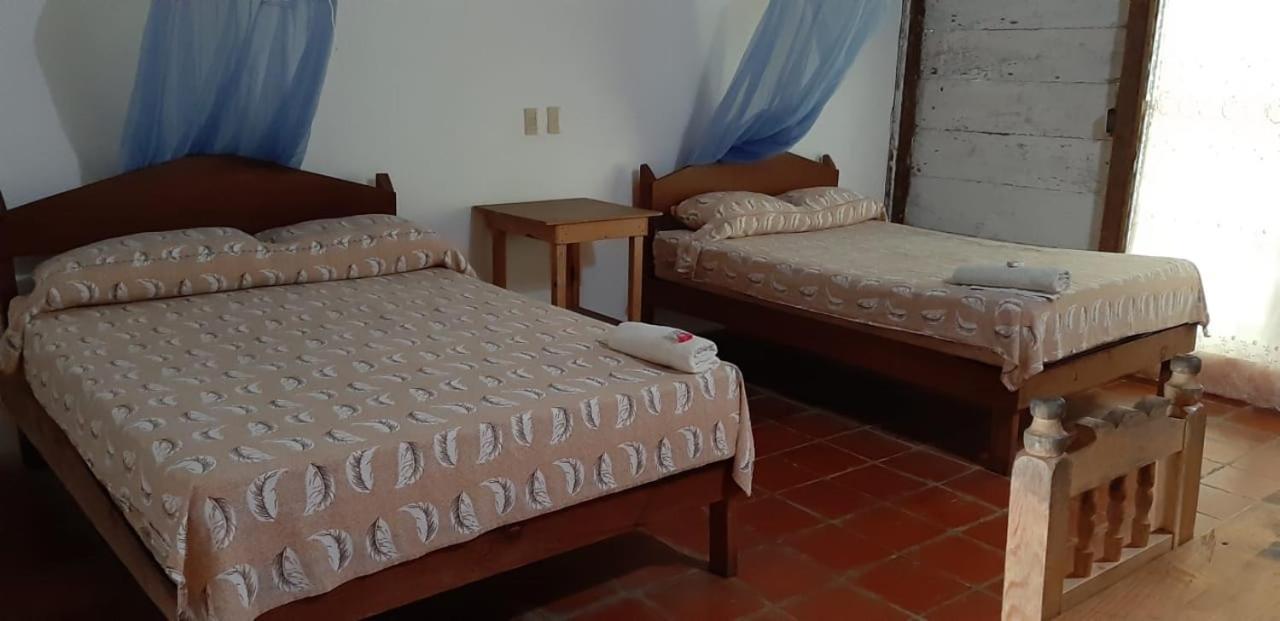 Centro Ecoturistico Ya'Ajche Hotel Lacanjá Exterior foto